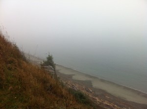 Foggy beach view
